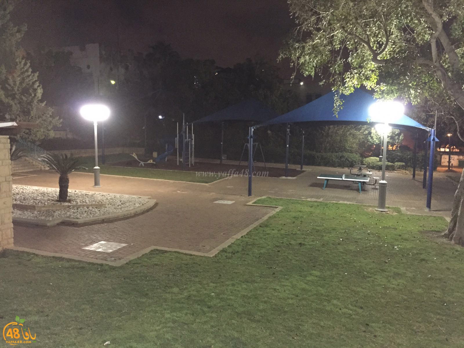 inara baladiya (4).jpg